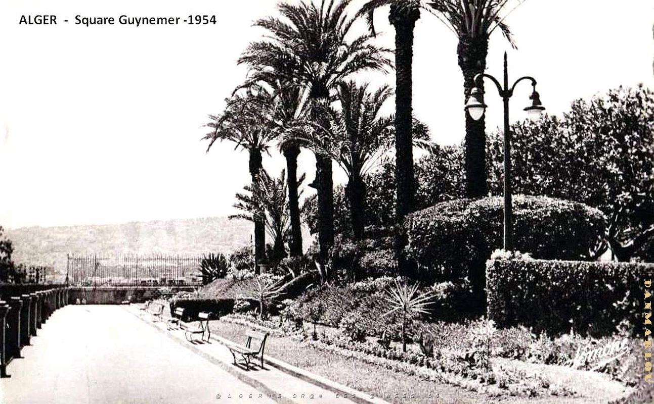 Alger - Square Guynemer - 1954.jpg